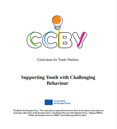 Curriculum for youth workers - short version cover